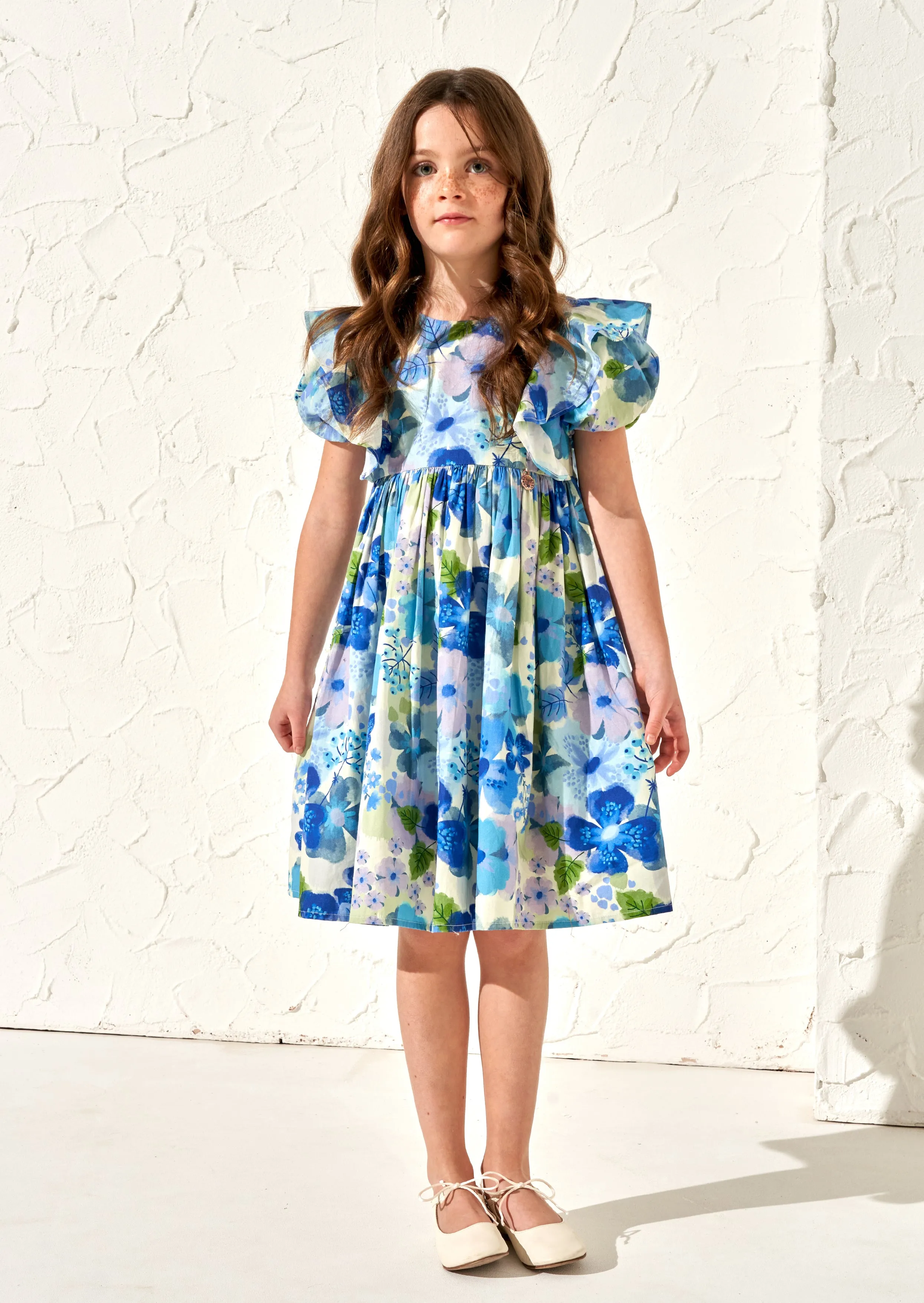 Celia Blue Floral Print Puff Sleeve Dress